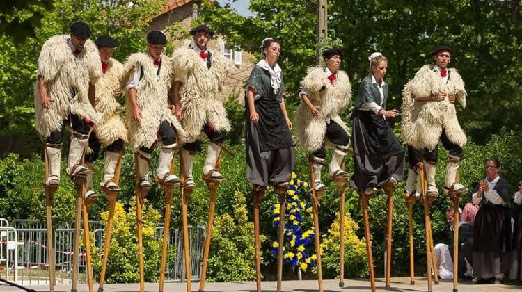 Une réalité du quotidien est devenue une star du folklore landais